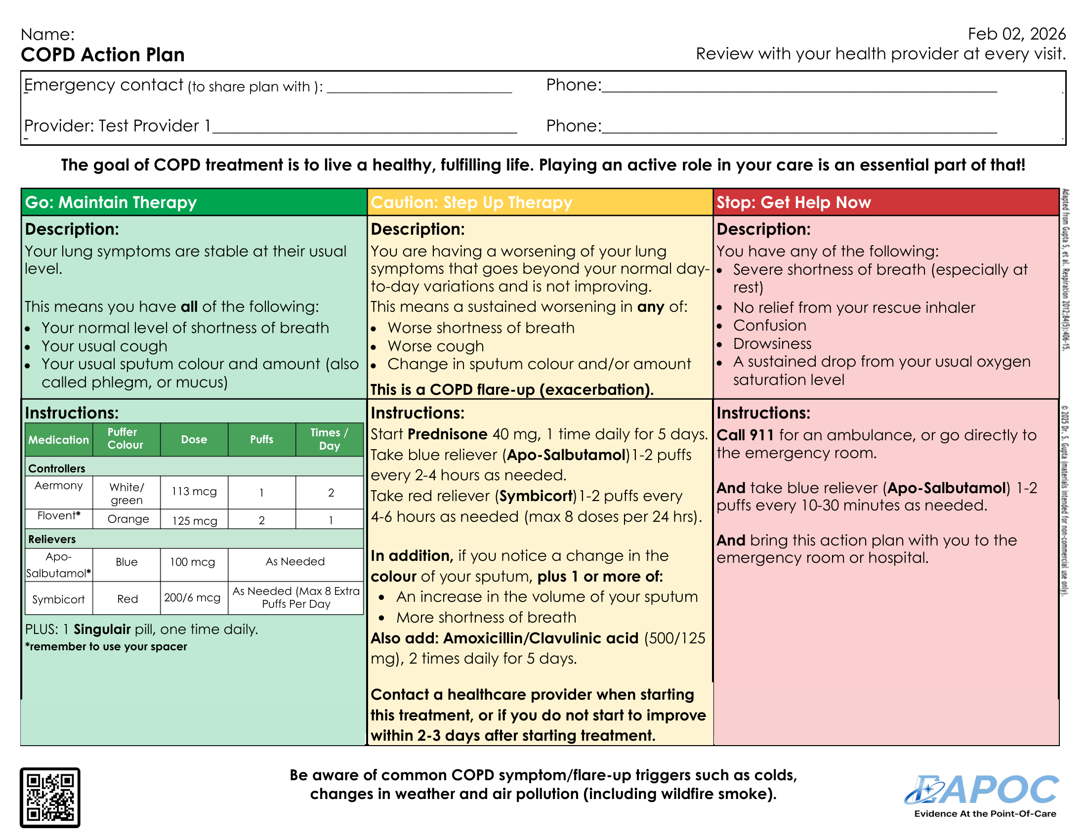 COPD action plan example